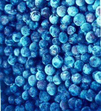 Blueberry Anthocyanin